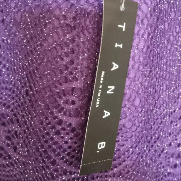 Tiana B NWT Purple fringe mesh lace overlay cocktail party shift midi dress sz12 - Picture 3 of 4